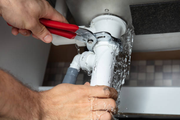Best Commercial water damage restoration  in Ridgeville, SC
