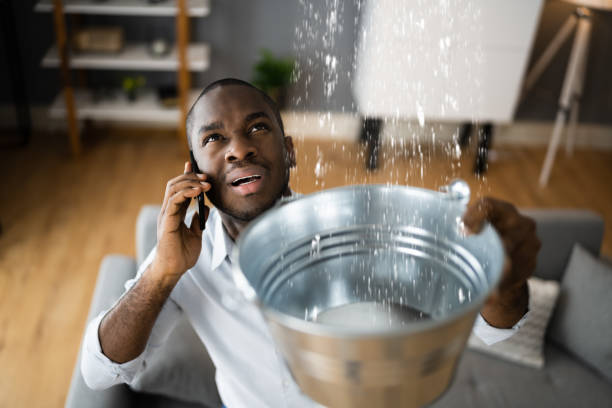 Best Water damage contractors near me  in Ridgeville, SC