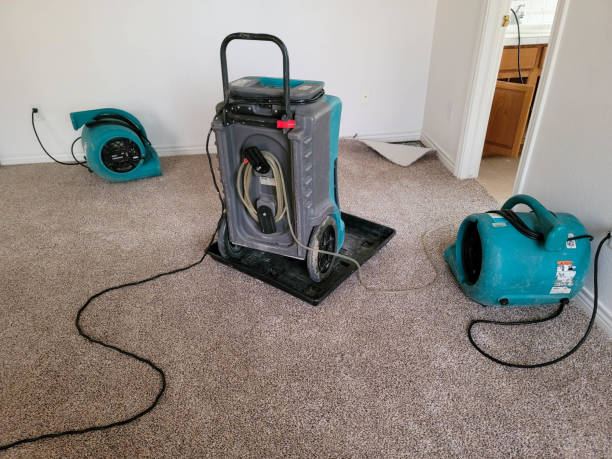 Best Carpet water damage restoration  in Ridgeville, SC