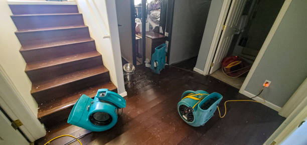 Best Professional water damage repair  in Ridgeville, SC
