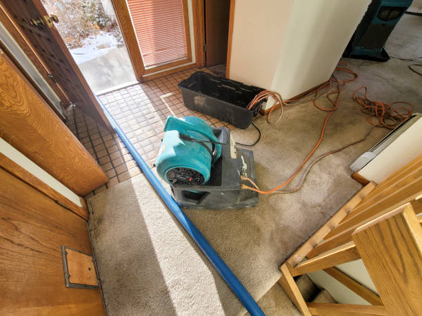 Best Ceiling water damage repair  in Ridgeville, SC
