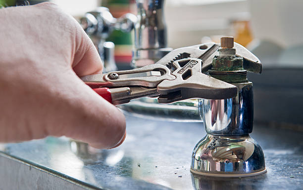 Best Flooded house restoration  in Ridgeville, SC