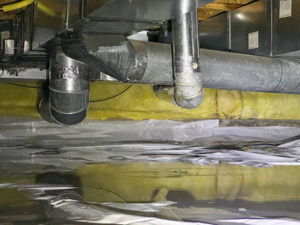 Best Water damage repair service  in Ridgeville, SC
