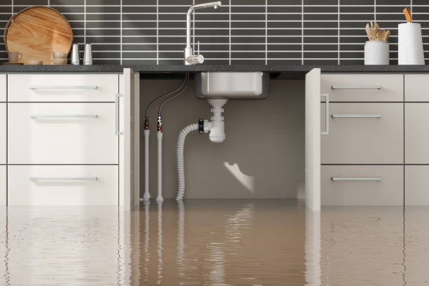 Best Flood damage cleanup  in Ridgeville, SC