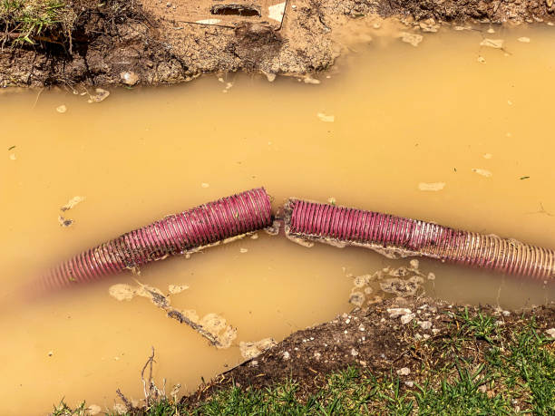 Best Basement water damage restoration  in Ridgeville, SC