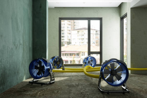 Best Water damage restoration company  in Ridgeville, SC