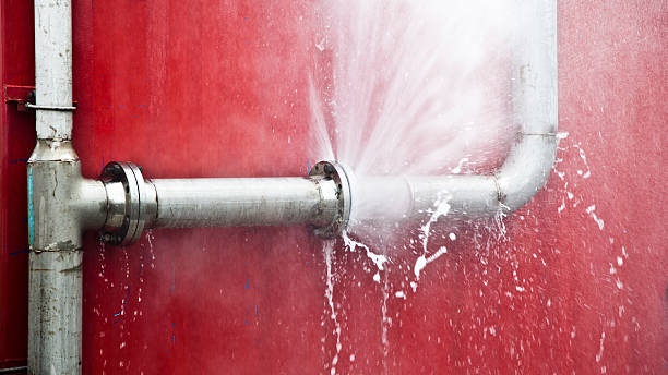 Best Flood damage cleanup  in Ridgeville, SC